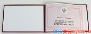 Диплом кандидата наук 2007-2021