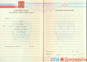 Аттестат школы за 9 класс 2007-2009