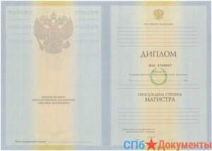 Диплом магистра 2010-2013