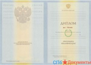 Диплом специалиста 2009-2011 год