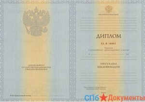 Диплом специалиста 2011-2013 год